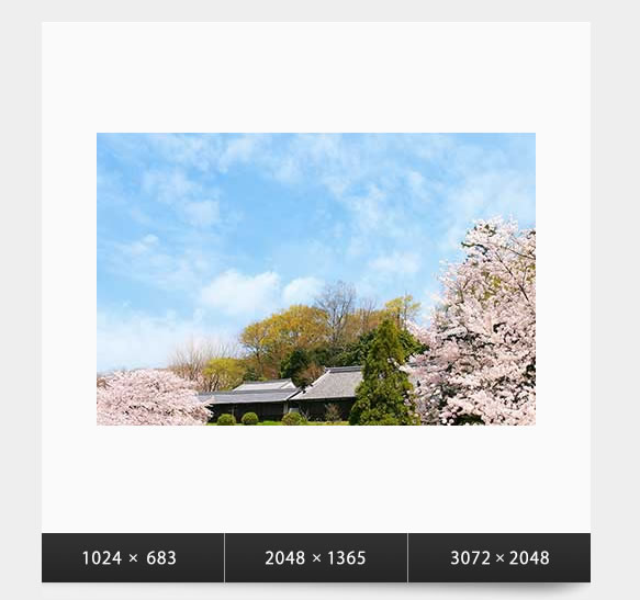 桜咲く里山の春の写真