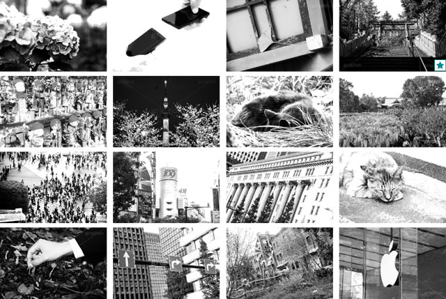 白黒のカテゴリー