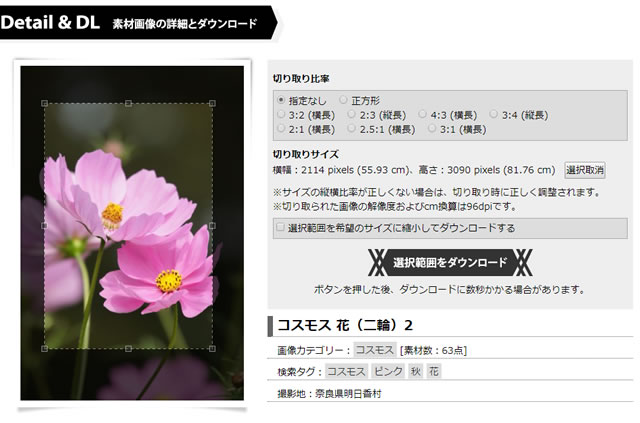 写真のダウンロード画面