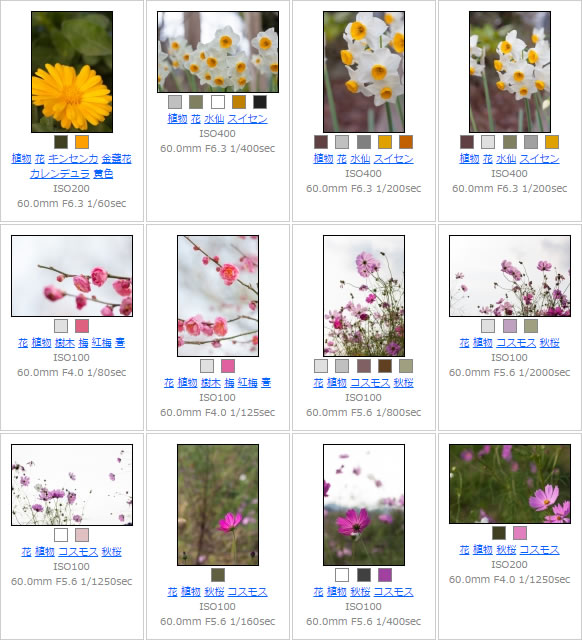 花の写真の背景素材